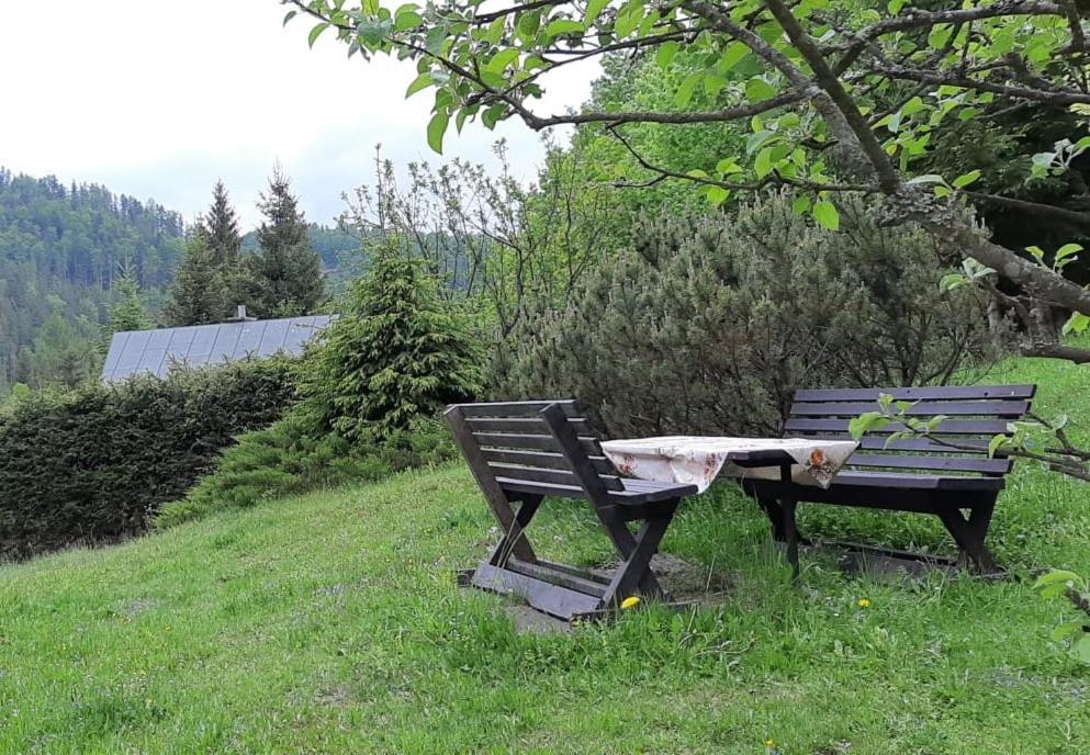 Fleurs De Myto Villa Mýto pod Ďumbierom Екстериор снимка