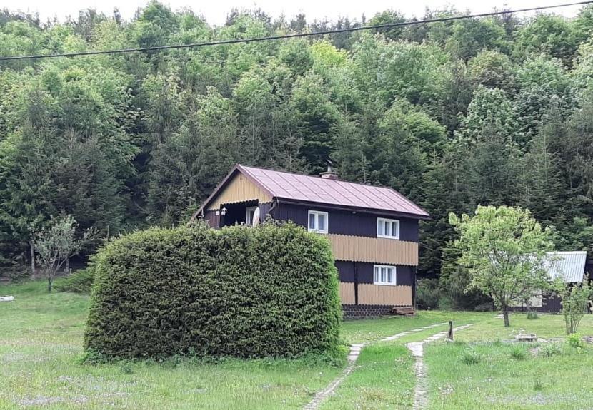 Fleurs De Myto Villa Mýto pod Ďumbierom Екстериор снимка